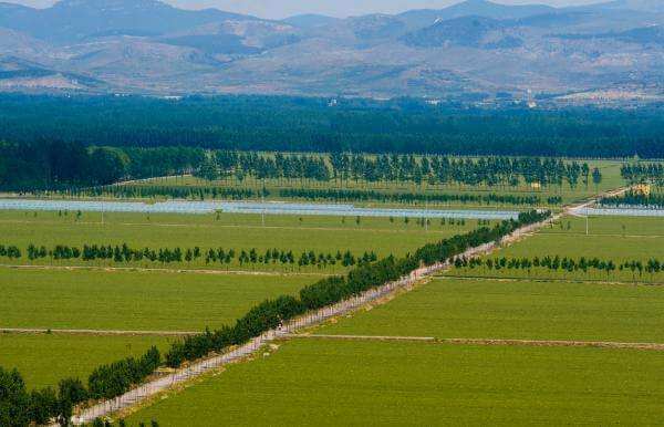 最高院:未经村民会议讨论决定,村委会出租集体土地无效