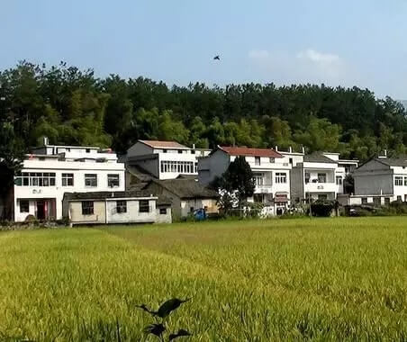 出嫁女是否享有原宅基地财产份额?