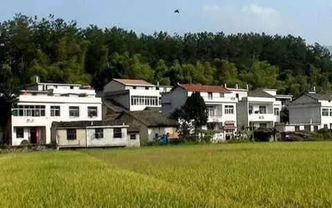 出嫁女是否享有原宅基地财产份额？