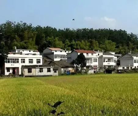 出嫁女是否享有原宅基地财产份额?