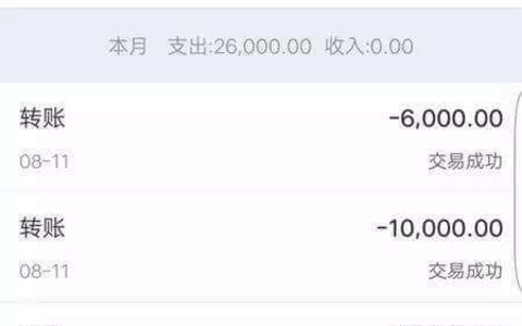 只有转账记录能否证明双方借贷关系成立？