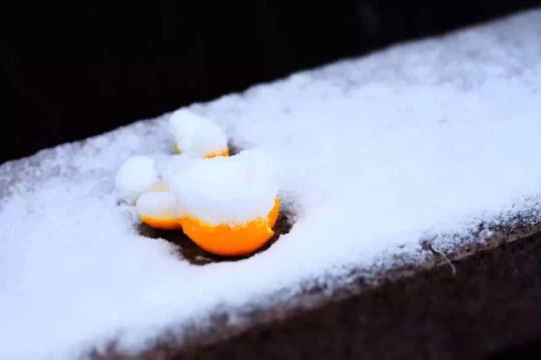 以2018年的最后一场雪致敬2019