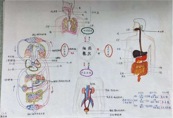 别让你的人体生物样本被违法收集