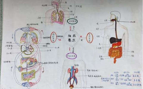 别让你的人体生物样本被违法收集
