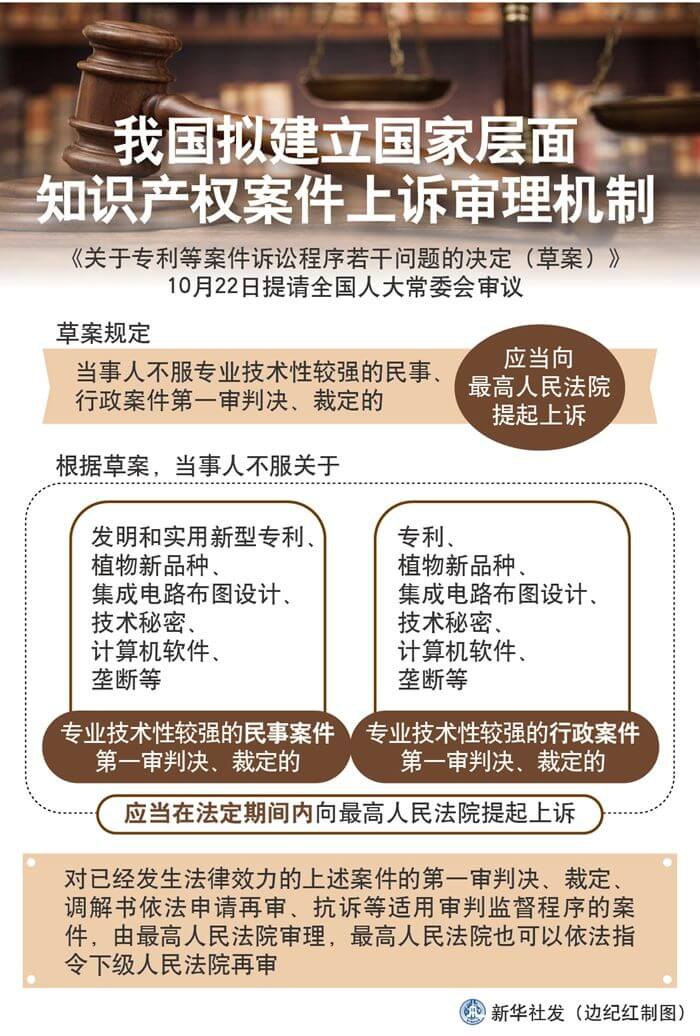 知识产权案件诉讼新规解读