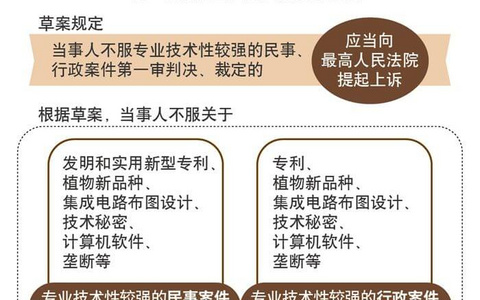 知识产权案件诉讼新规解读