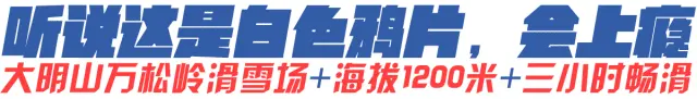 泽大滑雪招募令!北京冬奥在即,来一场滑雪初体验吧