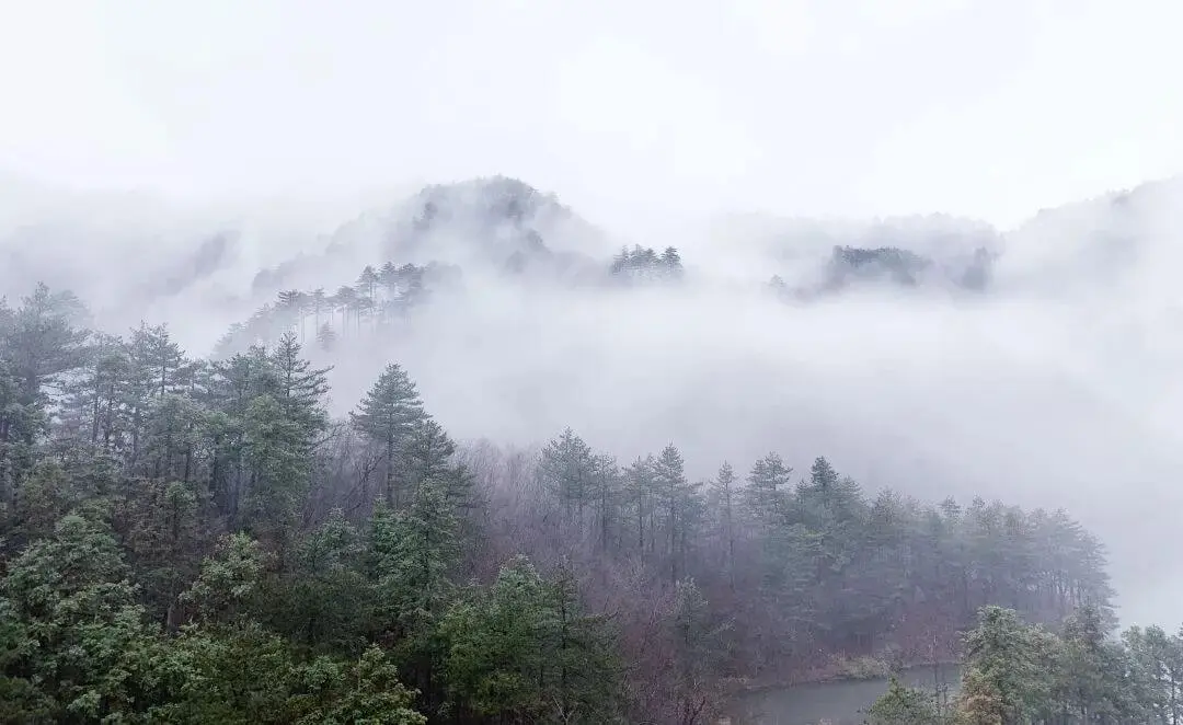 泽大首次滑雪体验旅程圆满结束