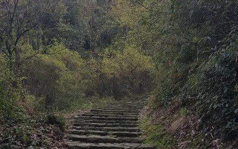 会稽客的孤独步行记（陶宴岭篇）