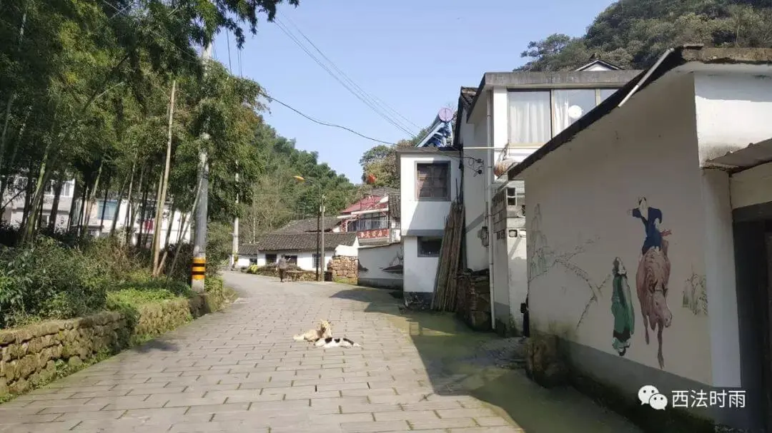 会稽客的孤独步行记(陶宴岭篇)