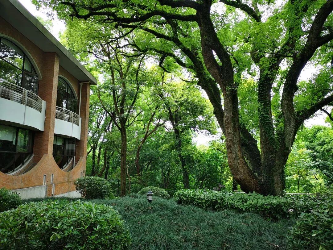 泽大律师在浙大，认真与美好缺一不可