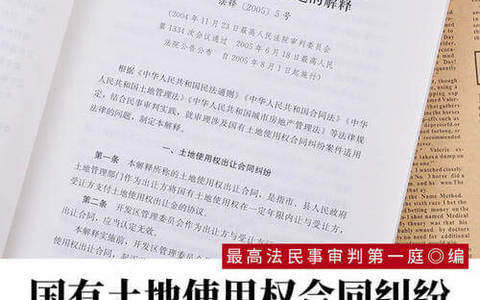 最高院关于审理涉及国有土地使用权合同纠纷案件适用法律问题的解释（2004）