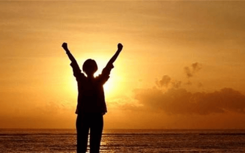 一个法律新人的实习日记（5）