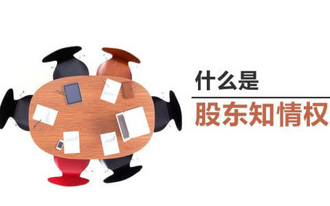 股东知情权纠纷中的执行问题研究