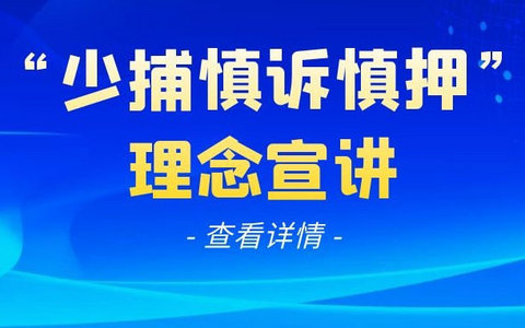 最高检苗生明解读“少捕慎诉慎押”刑事司法政策