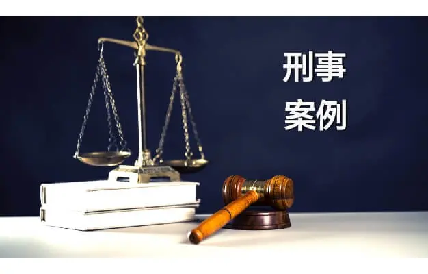 刑事案例