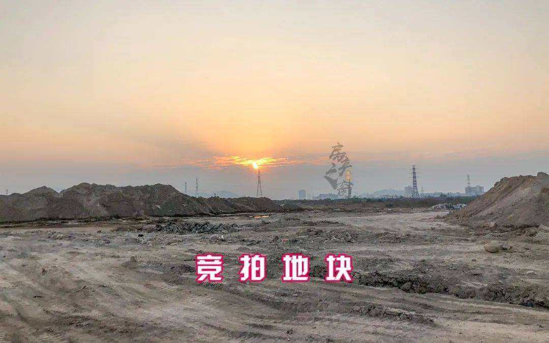 《土地出让须知》明确载明现状交付的竞拍人事后能否以非净地为由主张出让方承担责任?