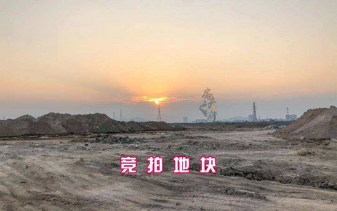 《土地出让须知》明确载明现状交付的竞拍人事后能否以非净地为由主张出让方承担责任？