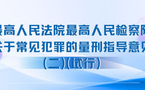 两高关于常见犯罪的量刑指导意见(二)(试行)