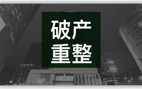 破产重整申请书