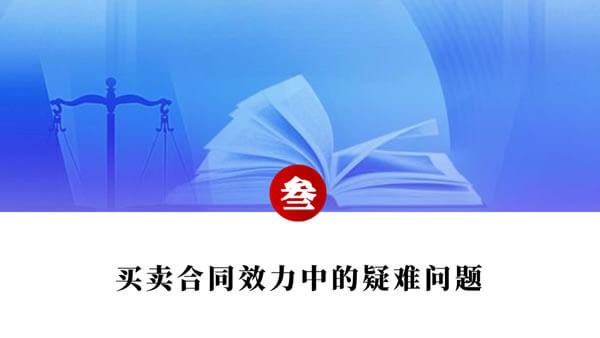 买卖合同纠纷争点整理与法律适用(唐学兵)