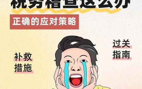 虚开增值税专用发票案件裁判规则（入库案例）