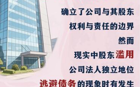 北京二中院股东损害公司债权人利益责任纠纷案件办理指引